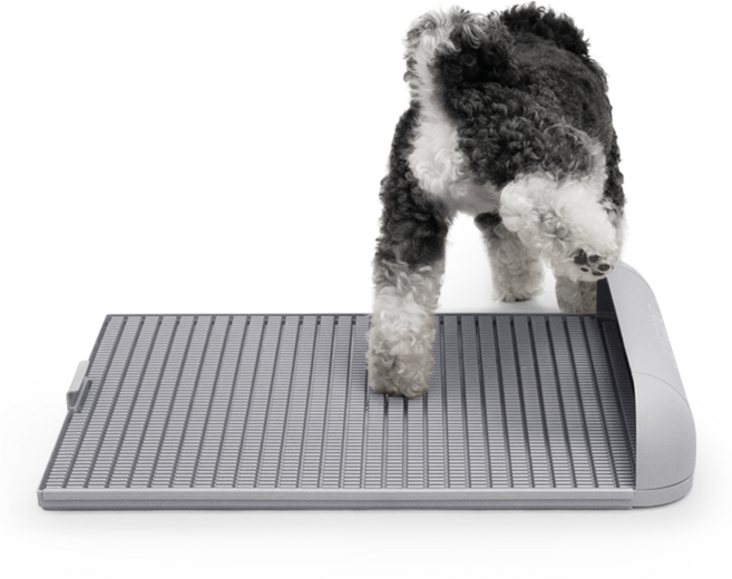 독톡 강아지 배변판 패드필요없음, 라이트그레이, 1개