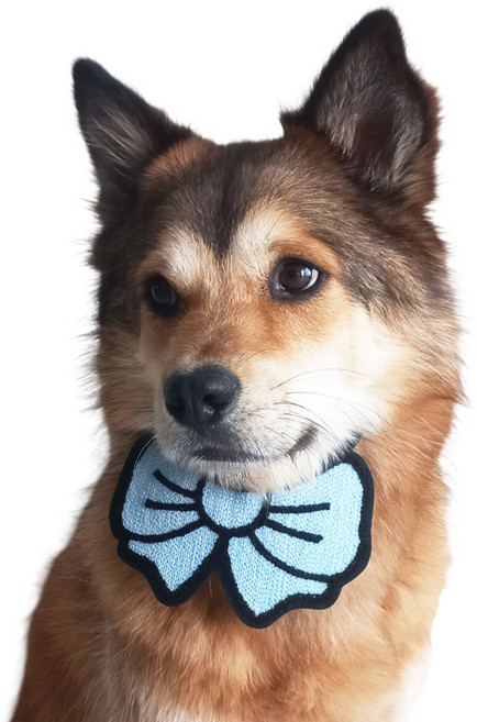 하니펫 반려동물 귀요미스카프 뜨게리본스카프, 1개, 하늘