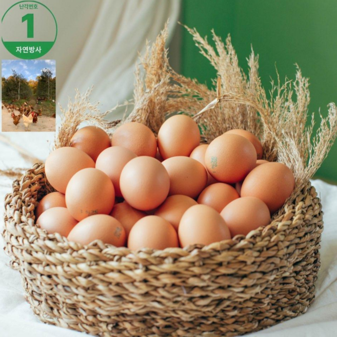 서연농장 [난각번호 1번]프리미엄 동물복지 방목유정란 40구, 1개