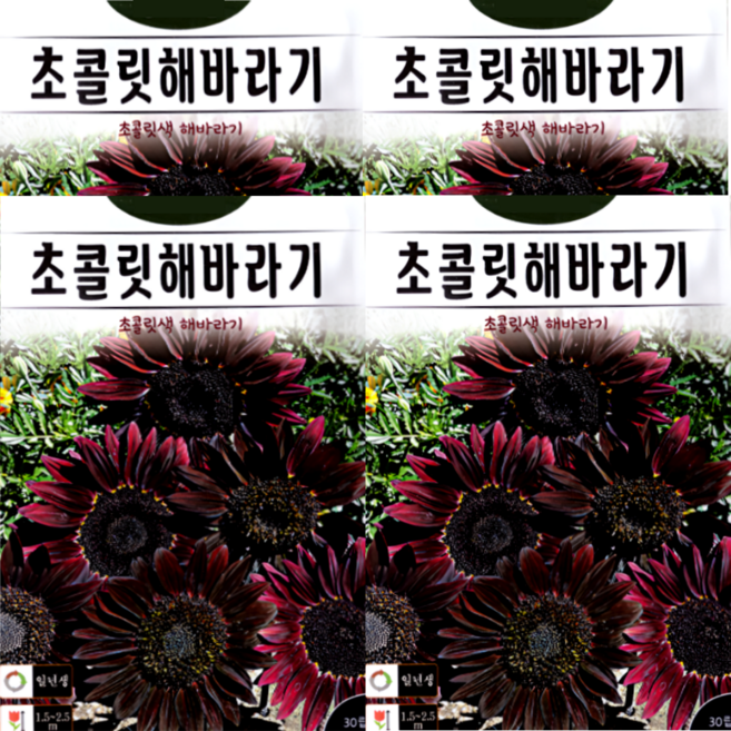 KS종묘 초콜릿해바라기 30립 해바라기 초콜렛체리 꽃씨 씨앗 종자 고급씨앗, 4개
