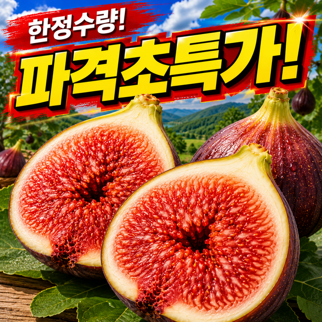 [하루50박스한정판매] 고당도 당일수확 생무화과 홍무화과, 1박스, 500g(프리미엄)