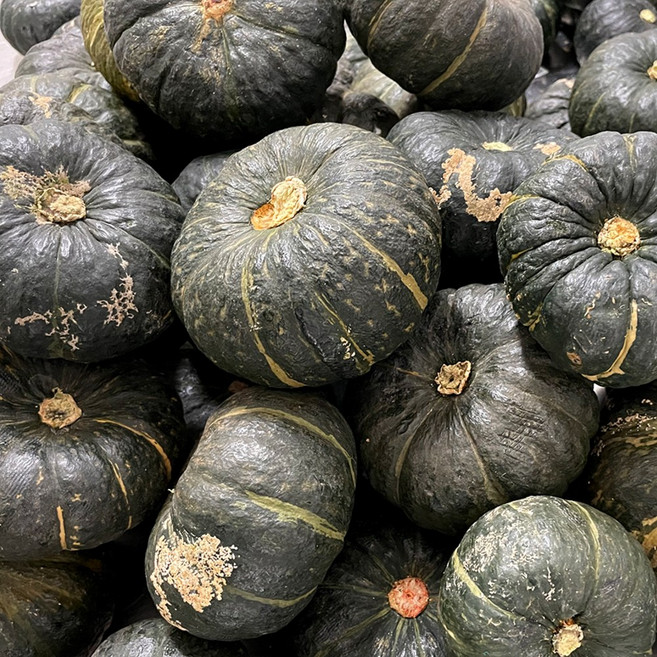 26년 산지직송 해남 미니 밤호박 단호박 못난이, 1박스, 1kg