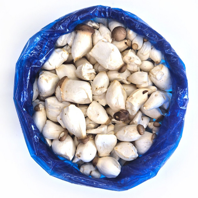 클릭마켓 국내산 새송이 못난이 미니 새송이버섯, 1개, 4kg