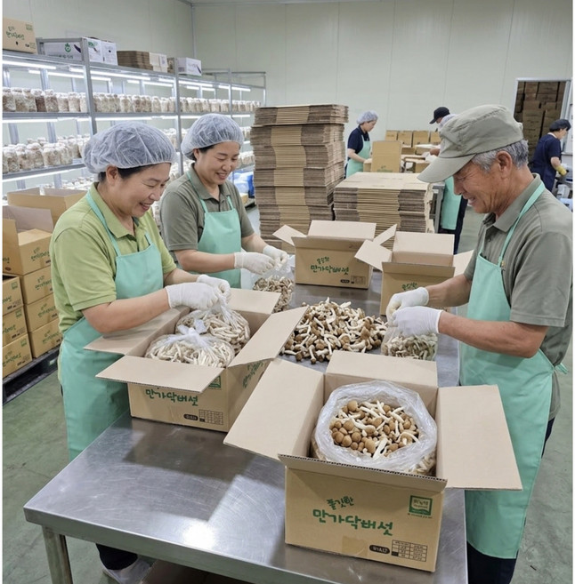 국내산 나주 산지직송 벌크 만가닥버섯 2kg 4kg 알뜰농장, 1개, 2kg내외