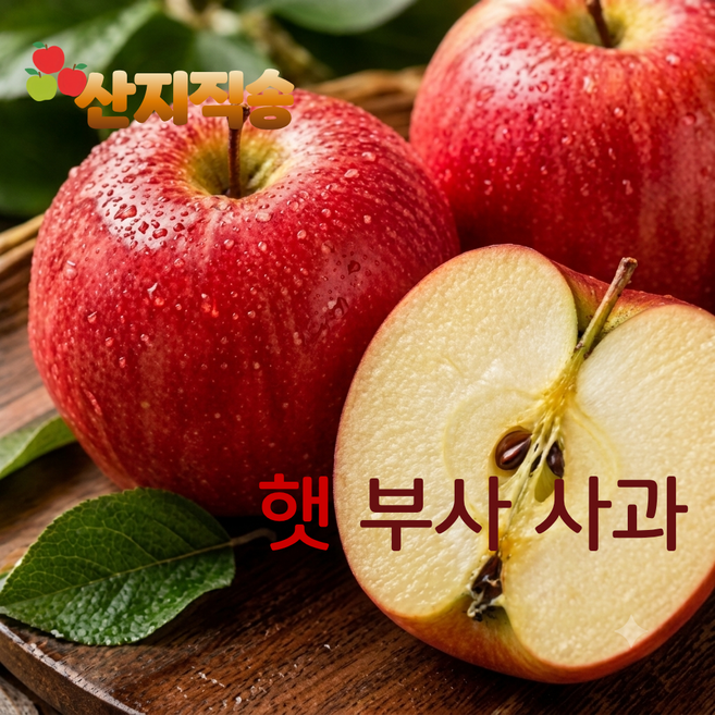 [쿠팡특가] 50박스한정 못난이 사과 초특가, 1박스, 5kg