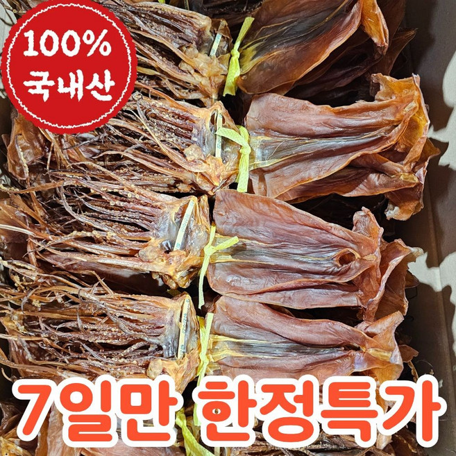 [산지직송] 국산 쫄쫄이 오징어 특품, 1개, 중대 5미 270g