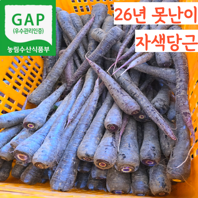 [산지직송] 26년 햇 GAP 국내산 국산 창원 못난이 보라색 자색당근 흙당근, 1박스, 1kg