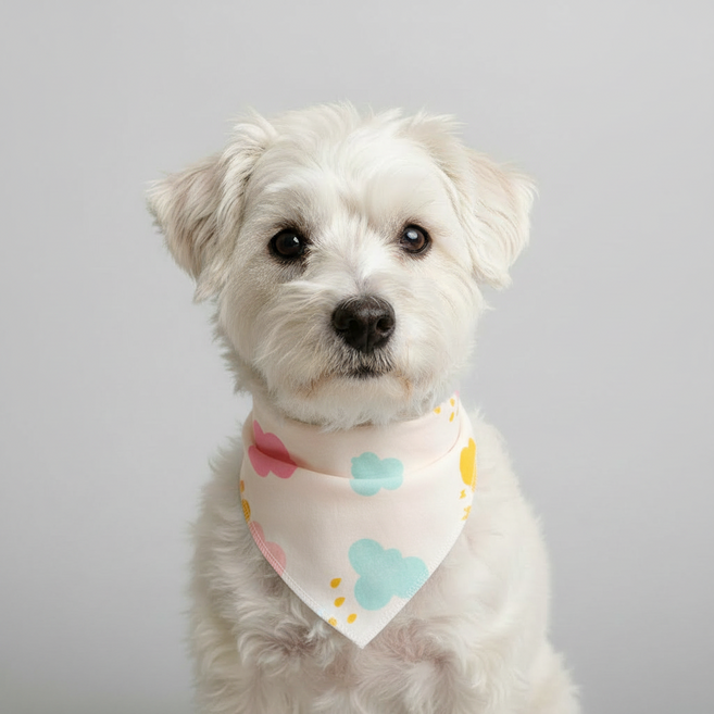 아이펫스맘 면 100% 스냅단추 강아지 고양이 반다나 스카프빕 턱받이 케이프, 1개, 16