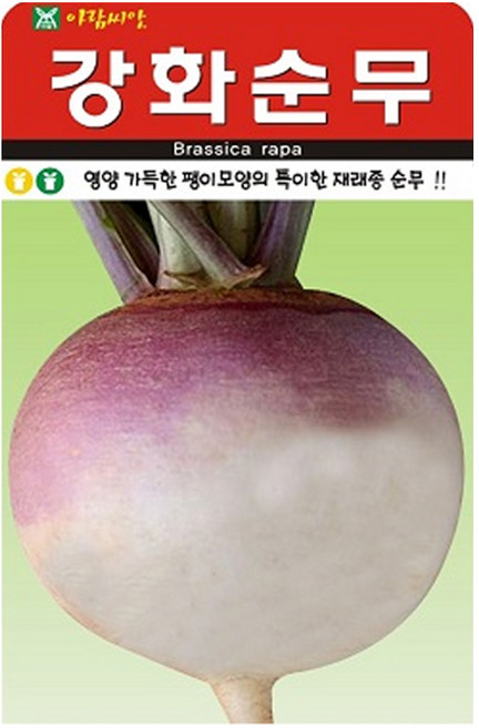 강화순무 씨앗 무우 씨 무씨 종자