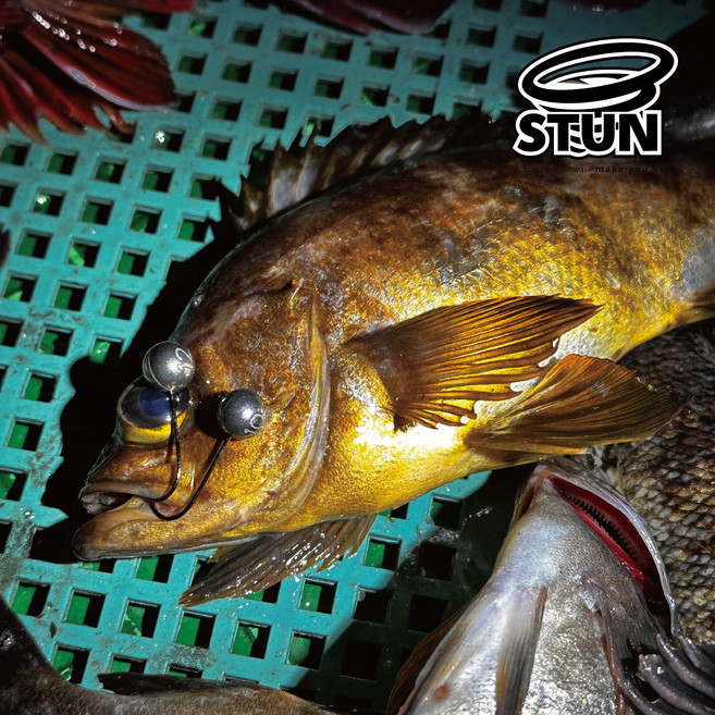 스턴 텅스텐지그헤드 바늘포함 0.5g 볼락 전갱이 아징 락피쉬 라이트게임 완성채비 1개입, 1개