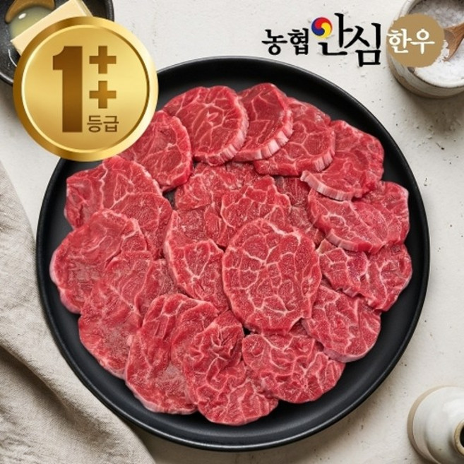 기타 [농협안심한우] 1++등급 한우 아롱사태(구이용) 300g
