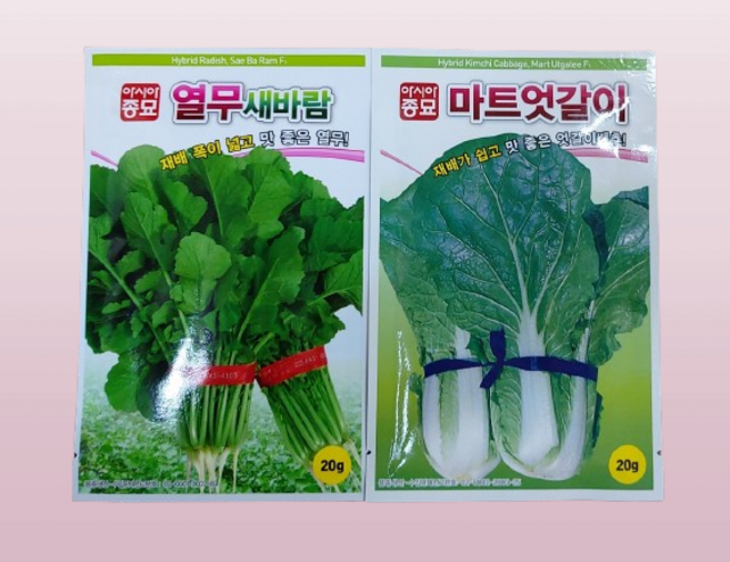 열무씨앗 엇갈이씨앗 종자 텃밭 맛좋은 주말농장 맛있는 열무 엇갈이 2세트 1개