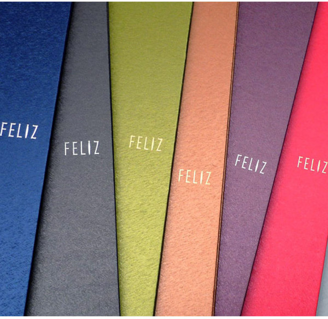 [꿈드림22] 펠리즈파일 펄 A3 20매 클리어화일 도면파일 설계도화일 포스터정리 포토펄리오 브로마이더 속지추가가능 FELIZ FECF30 6color 10.0, 적색, 1개