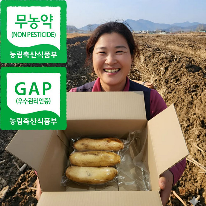더맛곳간 무농약 국산 햇 생 손질 통 세척 연근 GAP인증 국내산 진공포장, 1개, 2kg