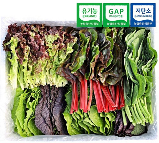 국내산 산지직송 유기농 모듬 쌈채소 샐러드채소 쌈야채, 1개, 모듬 쌈채소 1kg
