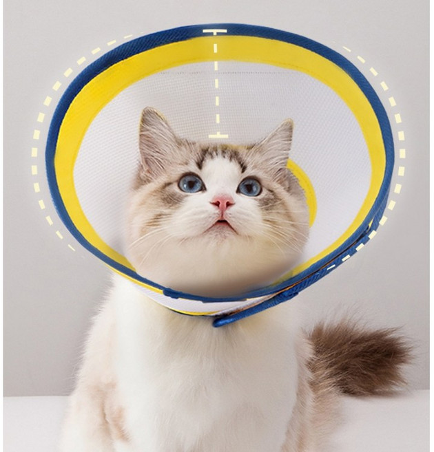 파이 초경량 메쉬 강아지 중성화 수컷 넥카라 고양이 강아지 목카라, 1개, 옐로우y