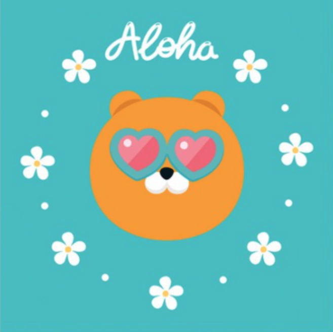 아이러브페인팅 카카오프렌즈 DIY PAINTING, 알로하페이스 라이언, 1개