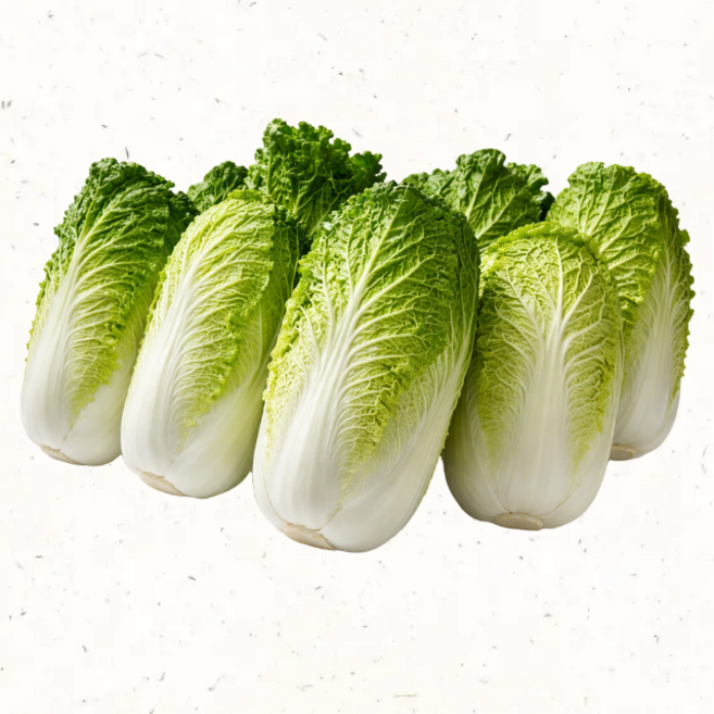 알배기배추 보쌈용 아삭한 쌈배추 친환경 채소, 2.5kg, 1박스, 쌈배추(300g~400g내외)