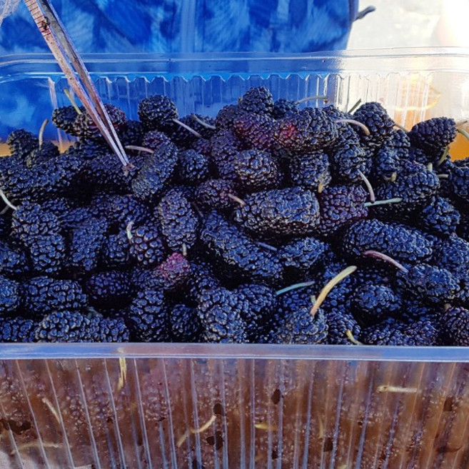 전북 고창 특품 과상 2호 냉동 오디 5kg(벌크)/26년햇과, 1개, 5kg