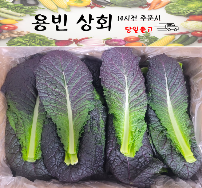 ( 용빈 상회 ) 국내산 적겨자 2kg내외 4kg내외, 1박스, 2kg