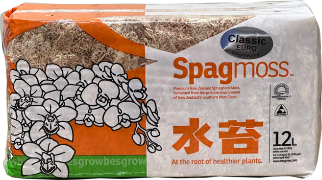 질좋은 고급 수태 뉴질랜드산 정겨운화분집, 150g, 1개
