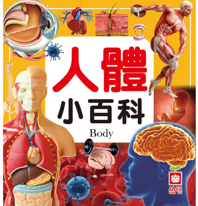 幼福文化 人體小百科 正方形