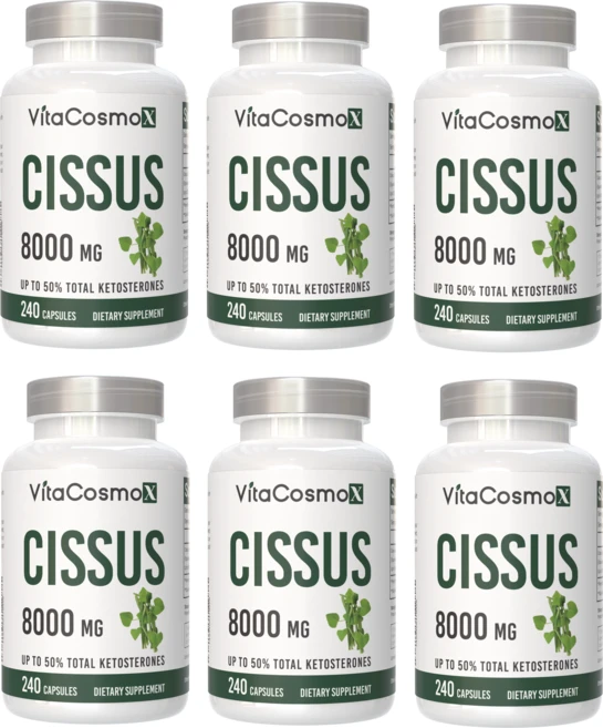 미국 비타코스모 VitaCosmoX 프리미엄 시서스 시서스캡슐 가루 분말 케토스테론 50% Cissus 고함량 고농축 8000mg, 240정, 6개 - 쿠팡