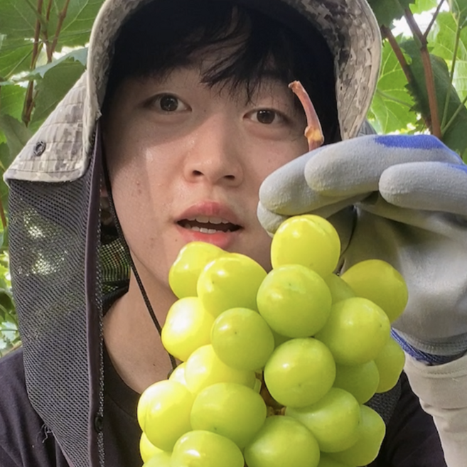 [17~19 Brix 당도보장] 김천뭉치네 샤인머스켓 GAP 우수재배인증, 1박스, 뭉치네 고당도 2kg 3~4수