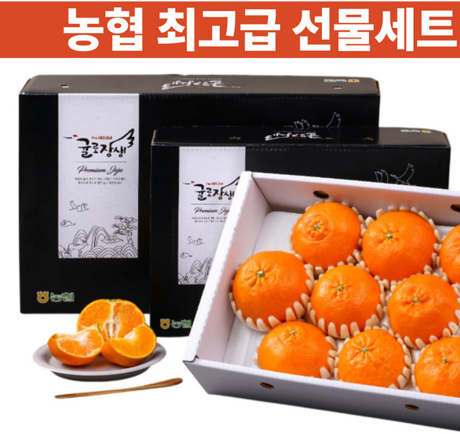 [설특가] 레드향 농협 프리미엄 설선물세트, 1박스, 3kg