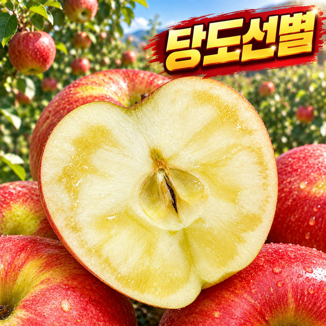 당도선별 한정초특가 농장직송 감홍사과, 1박스, 10kg