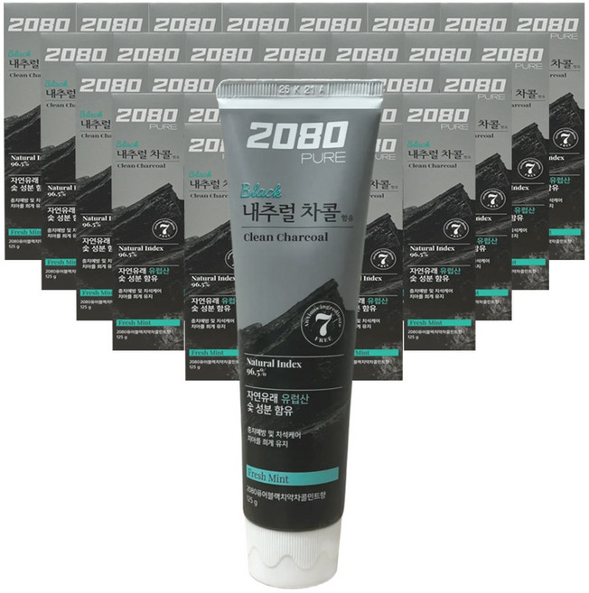 2080 퓨어 블랙 차콜민트 치약, 30개, 125g