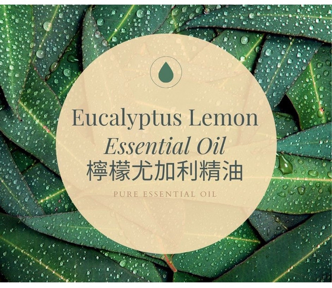 MW精油工坊 檸檬尤加利精油 Eucalyptus Lemon Essential Oil 10ml, 1個