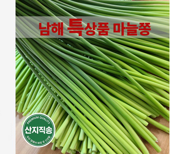 [국내산 남해]햇 마늘쫑 해풍맞아 부드럽고 아삭한 당일수확 산지직송 특품 1kg, 1박스