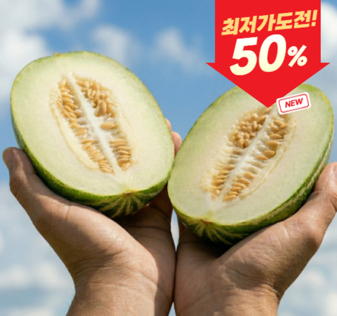 [오늘하루 초특가] 초고당도 프리미엄 파파야메론, 1박스, 5kg