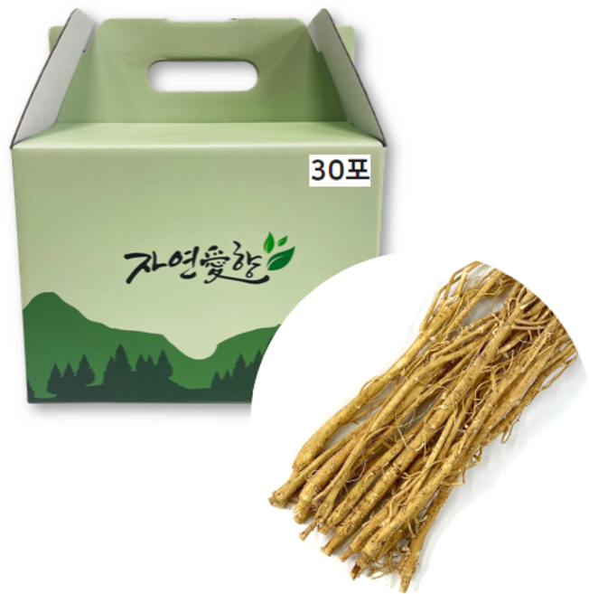 자연애향 제천 황기즙 진액 액기스 생맥산 황기차, 30개, 100ml