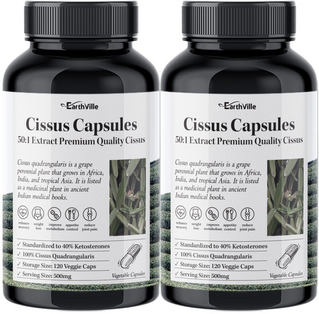 어스빌 시서스 알약 50배 고농축 25000 추출물 베지캡슐, 120정, 2개