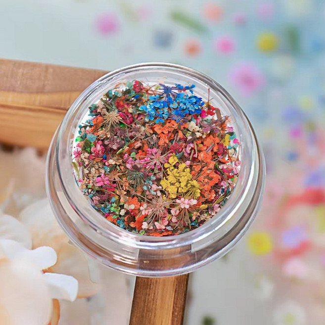 네일스토어 생화 글리터 드라이플라워 압화네일, 1개, 믹스 /S493