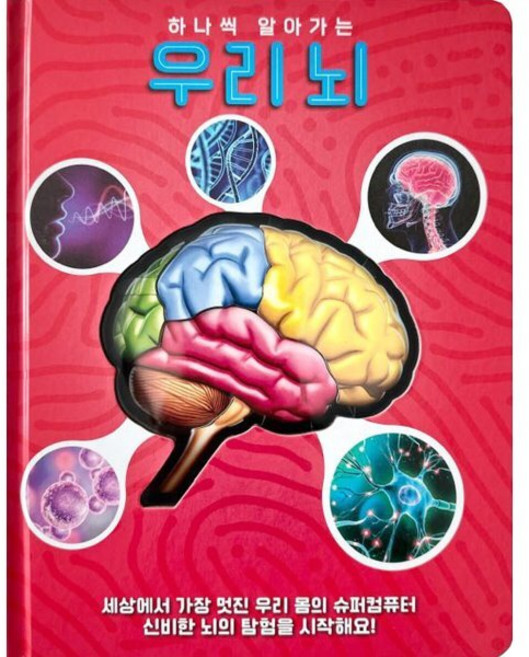하나씩 알아가는 우리 뇌, 조앤오슐리반 글, 룰루아이, 상세내용 참조