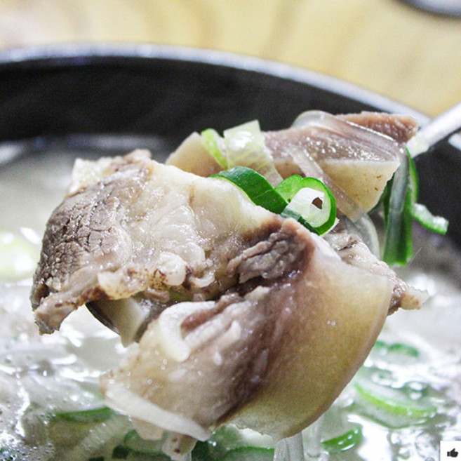 한우사골도가니탕 500g (PL0005819), 5개