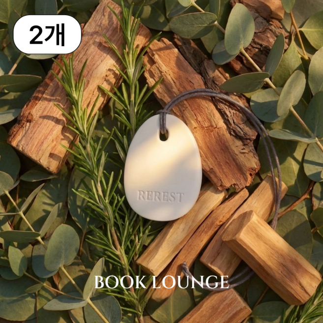 리레스트 명품 차량용 방향제 퍼퓸 테라코타 디퓨저, 북라운지, 2개