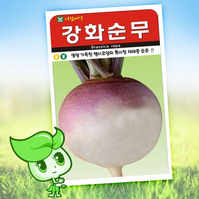 슬로시 김장채소 씨앗 종자 배추 무 갓 양파 시금치 알타리 당근 대파