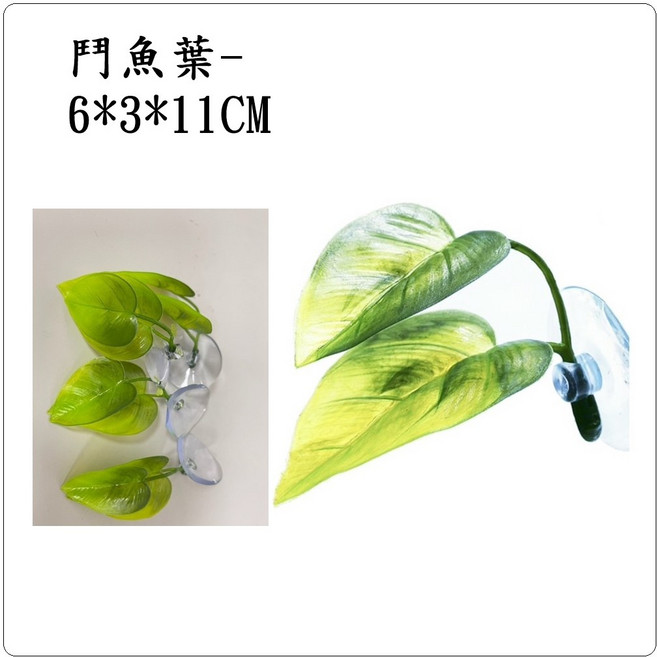 P老闆水族 鬥魚葉 鬥魚產卵繁殖 躲藏休息 欖仁葉 水族造景, 1個, 1入