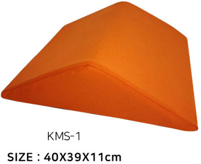 건강보험공단지정 호인복지용구 자세변환용구 KMS-1, 1개