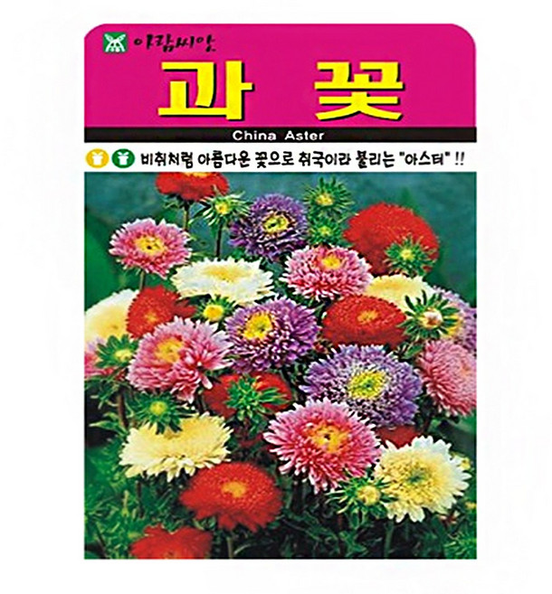 아람종묘 과꽃 씨앗 1000립, 1개