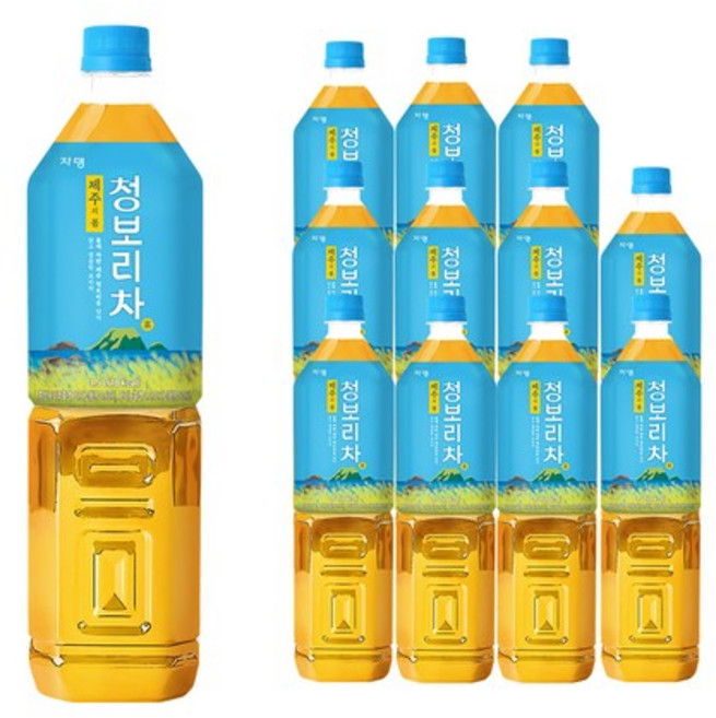 제주의 봄 청보리차 1.5L X 12페트, 없음