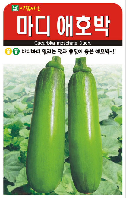 아람종묘 마디애호박 씨앗 20립, 1개