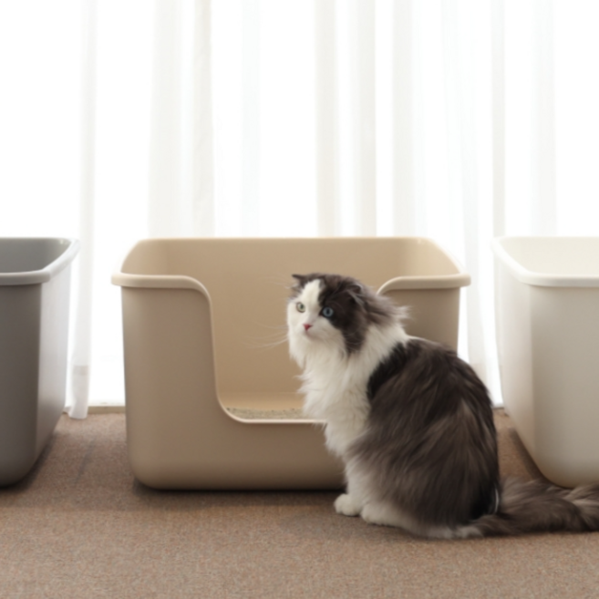 캣츠태그 스퀘어 묘래박스고양이 화장실 초대형 관절보호, 민트, 1개