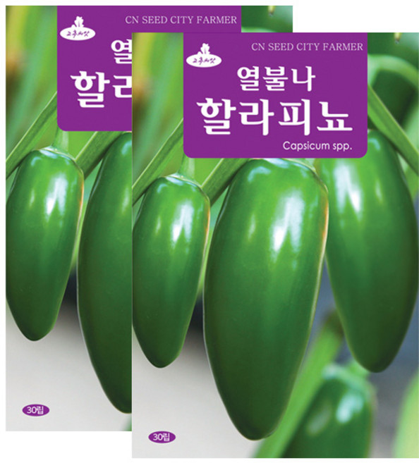 세인화분 할라피뇨 30립, 2개