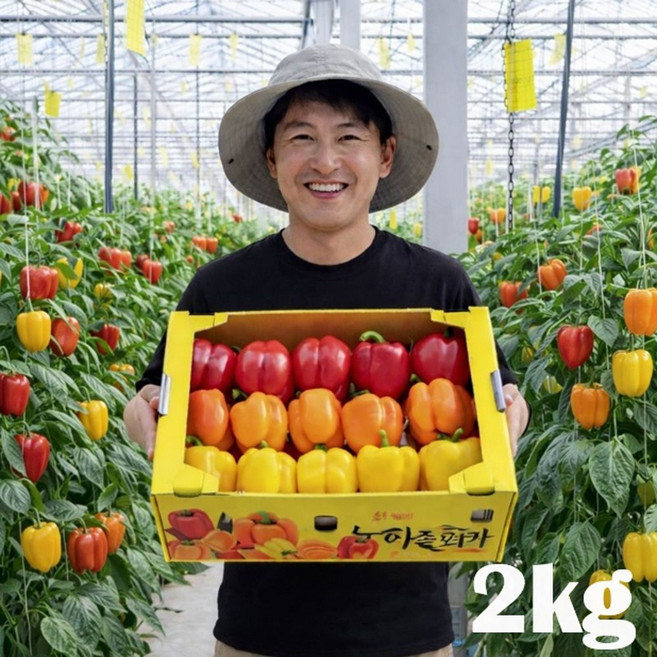 [타임특가 15% 할인] 산지 직송 신선하고 아삭한 맛! 고당도 파프리카, 1박스, 파프리카(색상랜덤) 2kg