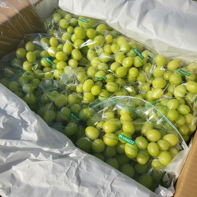 [소비자선택1위] 고당도 씨없는 애플 청포도, 1개, 애플청포도 4kg